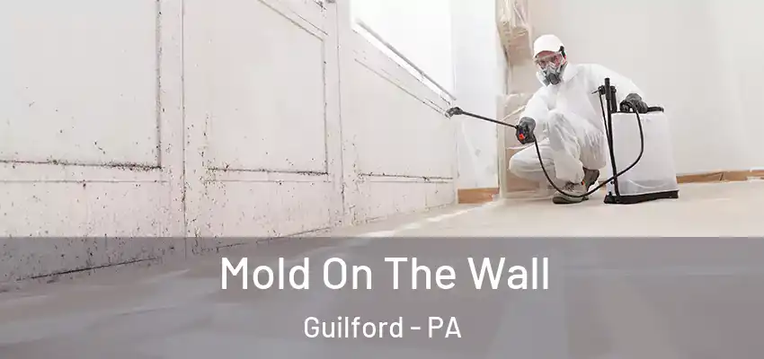  Mold On The Wall Guilford - PA