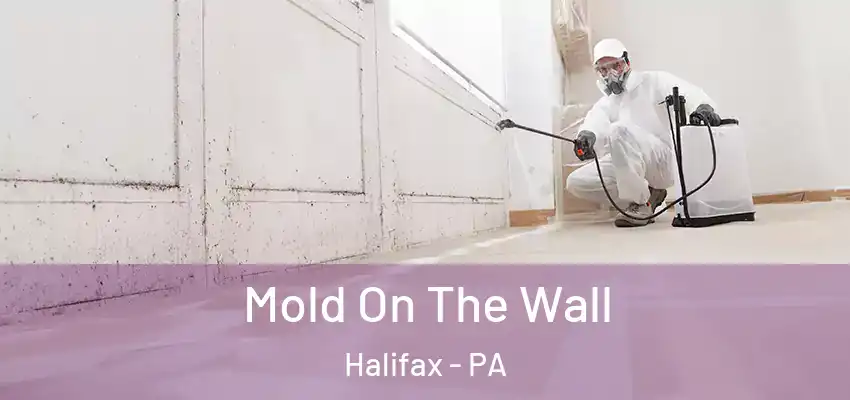  Mold On The Wall Halifax - PA