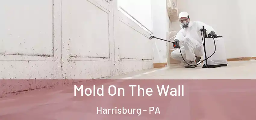  Mold On The Wall Harrisburg - PA