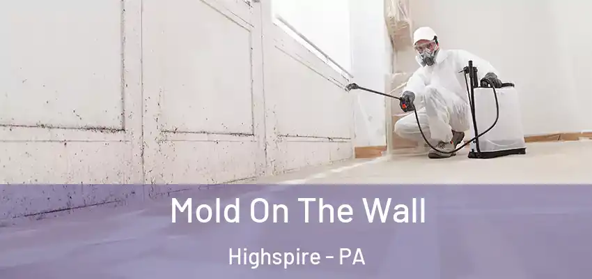 Mold On The Wall Highspire - PA