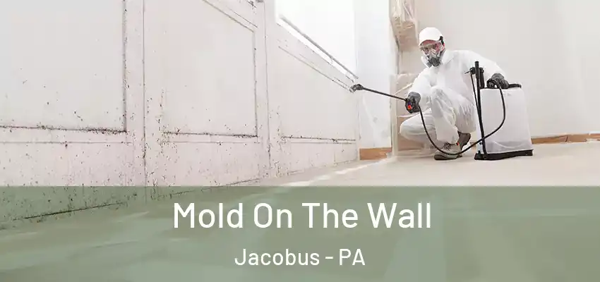 Mold On The Wall Jacobus - PA