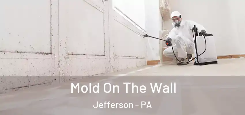 Mold On The Wall Jefferson - PA