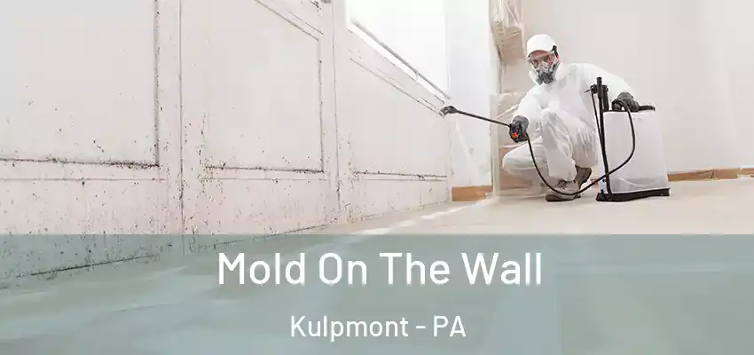  Mold On The Wall Kulpmont - PA