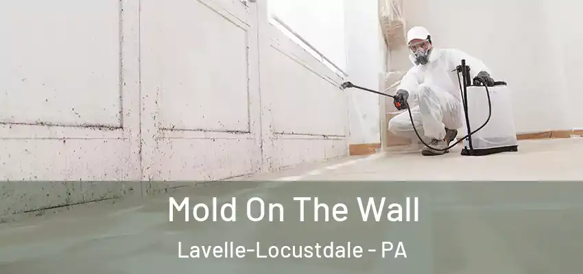  Mold On The Wall Lavelle-Locustdale - PA