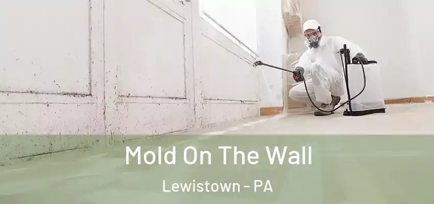  Mold On The Wall Lewistown - PA