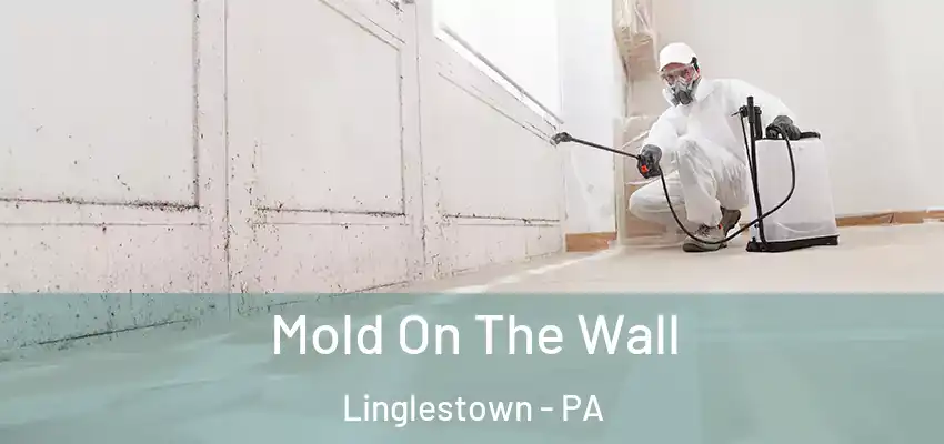  Mold On The Wall Linglestown - PA