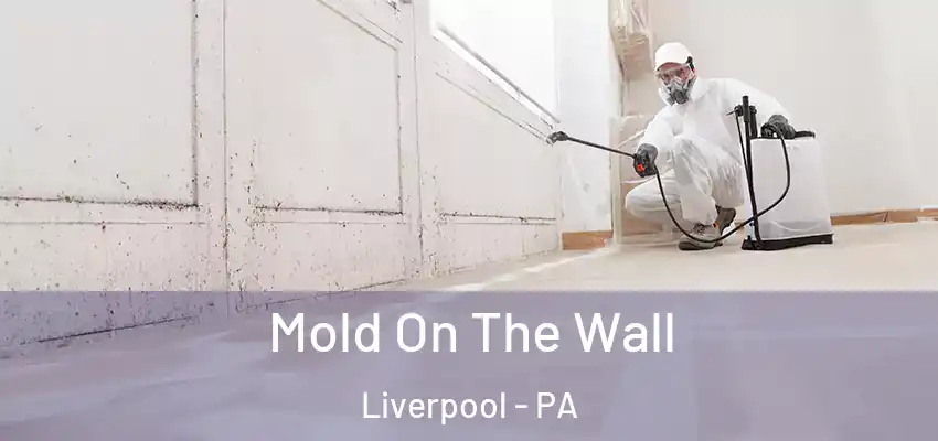 Mold On The Wall Liverpool - PA