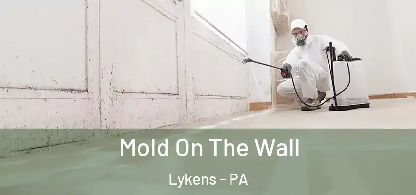 Mold On The Wall Lykens - PA