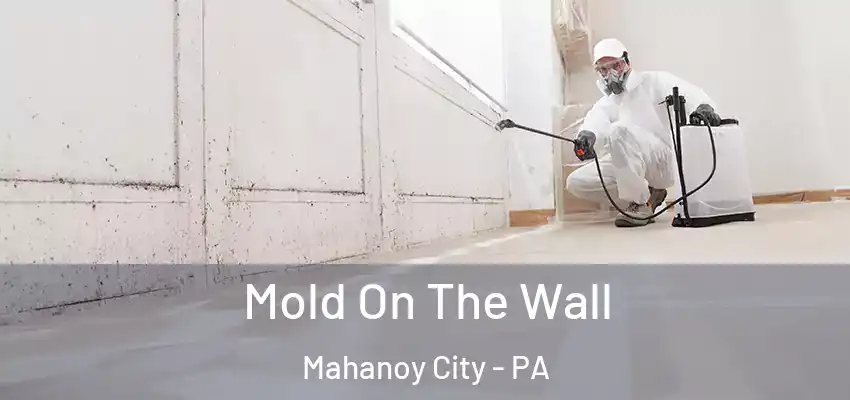  Mold On The Wall Mahanoy City - PA