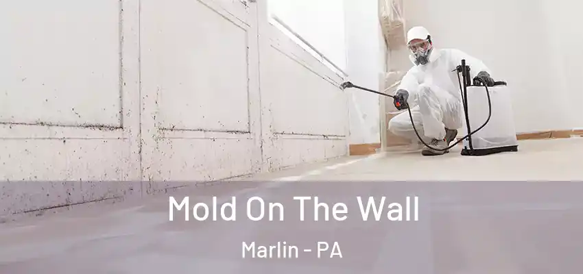  Mold On The Wall Marlin - PA