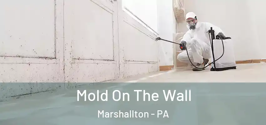 Mold On The Wall Marshallton - PA