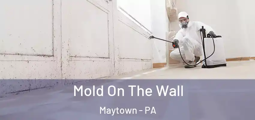 Mold On The Wall Maytown - PA