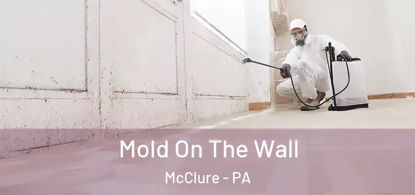Mold On The Wall McClure - PA