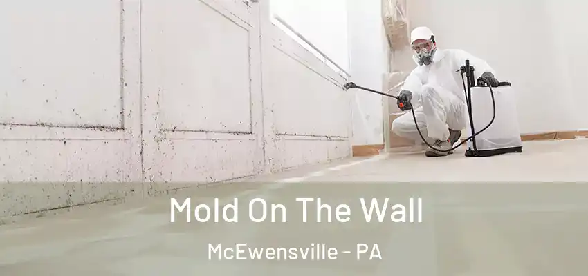 Mold On The Wall McEwensville - PA