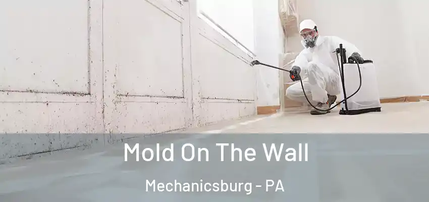  Mold On The Wall Mechanicsburg - PA