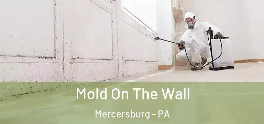 Mold On The Wall Mercersburg - PA