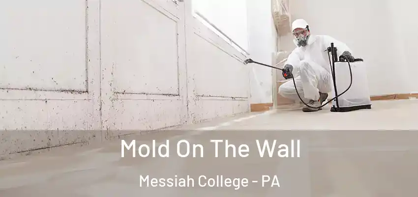 Mold On The Wall Messiah College - PA