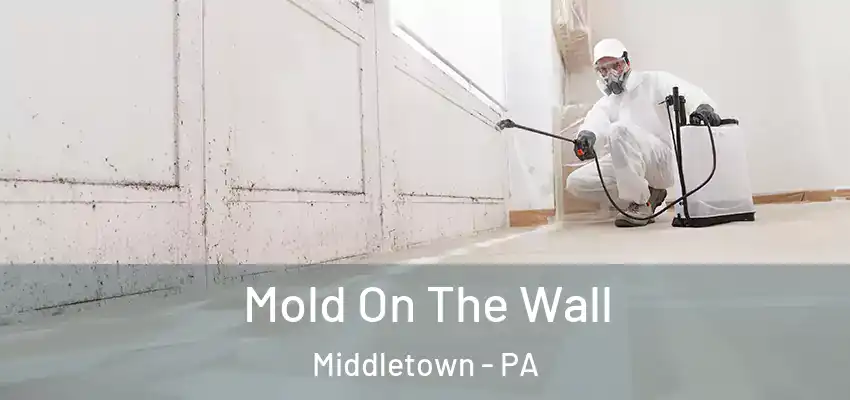  Mold On The Wall Middletown - PA