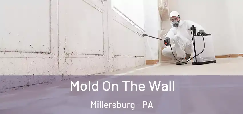 Mold On The Wall Millersburg - PA