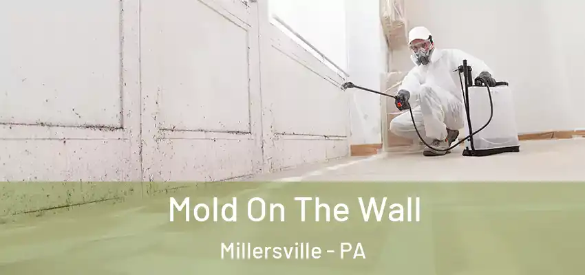  Mold On The Wall Millersville - PA