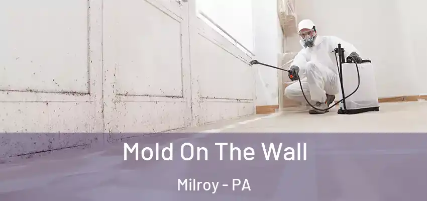 Mold On The Wall Milroy - PA
