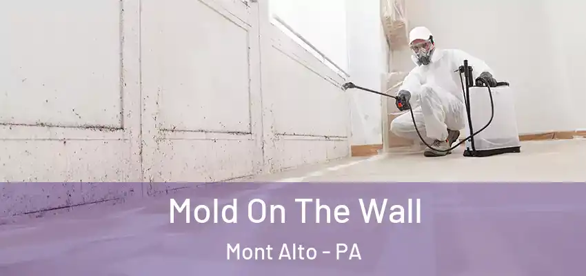 Mold On The Wall Mont Alto - PA