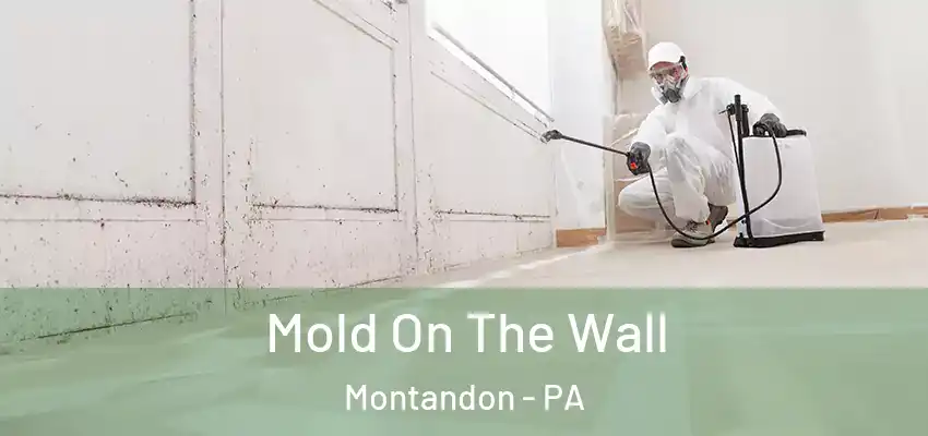 Mold On The Wall Montandon - PA