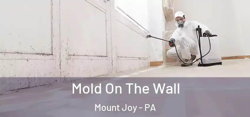  Mold On The Wall Mount Joy - PA