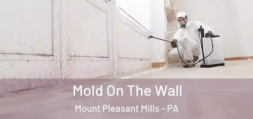 Mold On The Wall Mount Pleasant Mills - PA