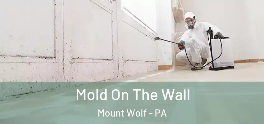 Mold On The Wall Mount Wolf - PA