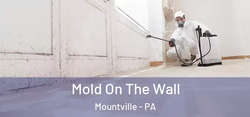  Mold On The Wall Mountville - PA