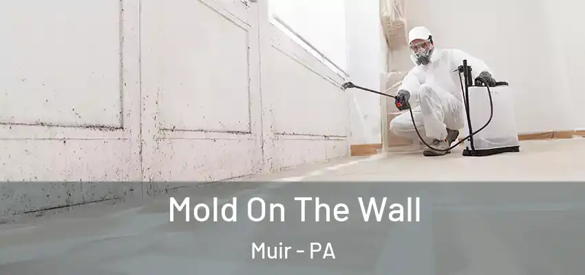  Mold On The Wall Muir - PA