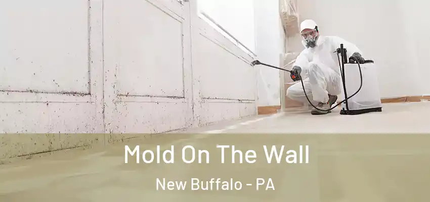  Mold On The Wall New Buffalo - PA