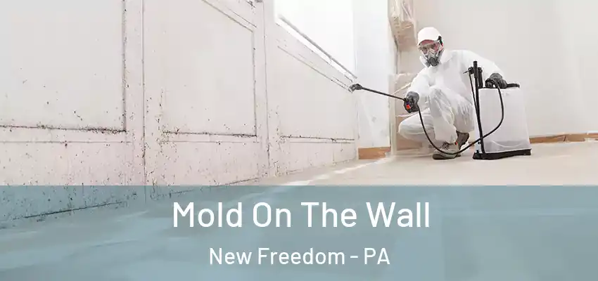 Mold On The Wall New Freedom - PA