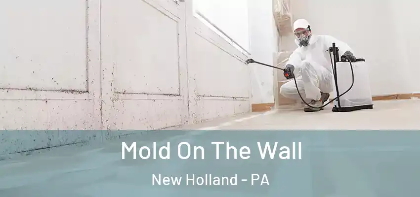  Mold On The Wall New Holland - PA