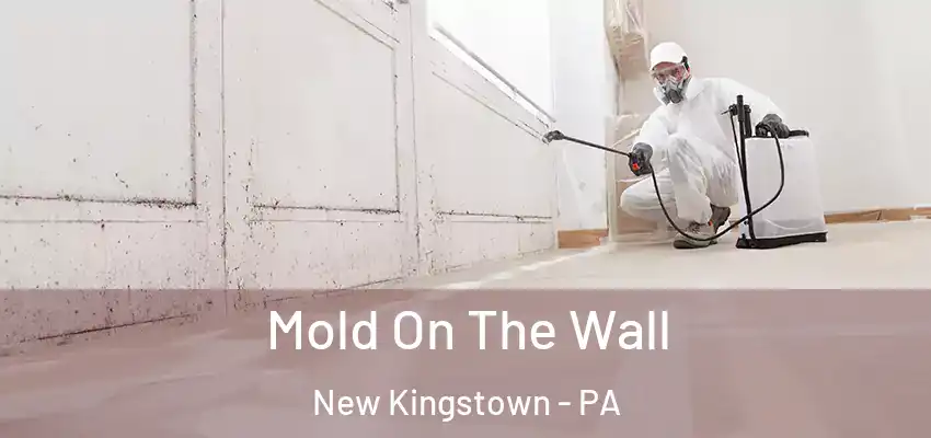 Mold On The Wall New Kingstown - PA