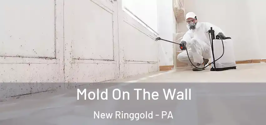 Mold On The Wall New Ringgold - PA
