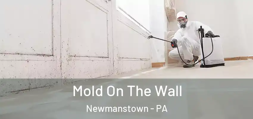  Mold On The Wall Newmanstown - PA