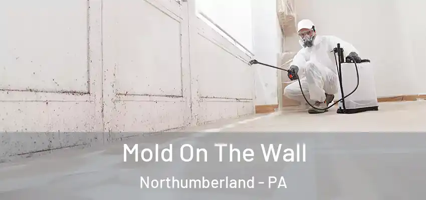  Mold On The Wall Northumberland - PA