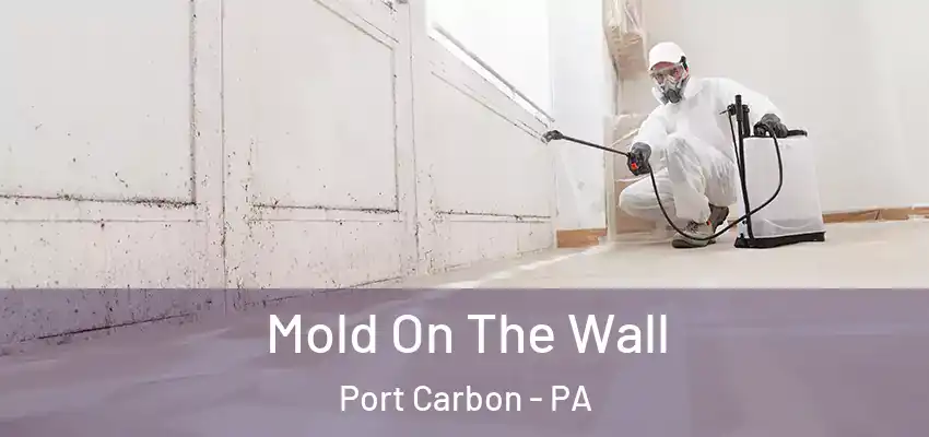  Mold On The Wall Port Carbon - PA