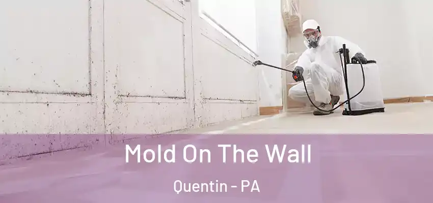  Mold On The Wall Quentin - PA
