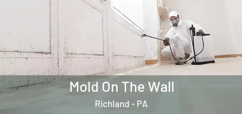 Mold On The Wall Richland - PA