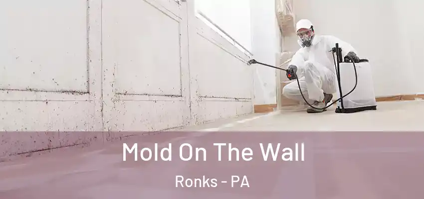 Mold On The Wall Ronks - PA
