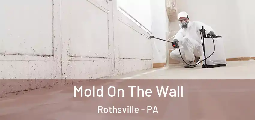 Mold On The Wall Rothsville - PA