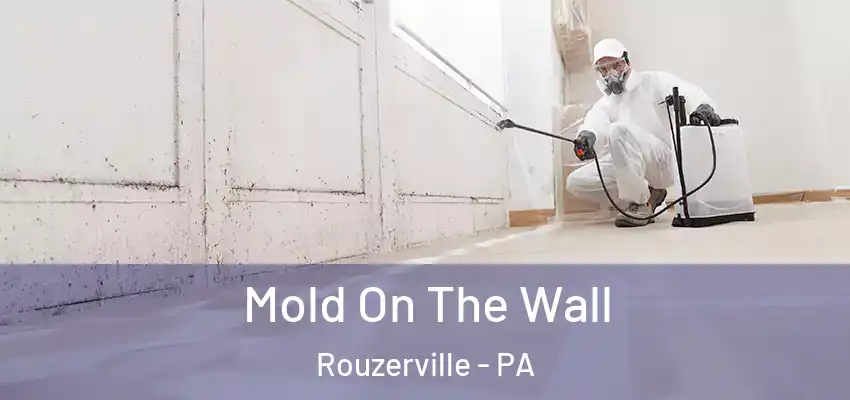 Mold On The Wall Rouzerville - PA