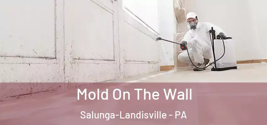 Mold On The Wall Salunga-Landisville - PA