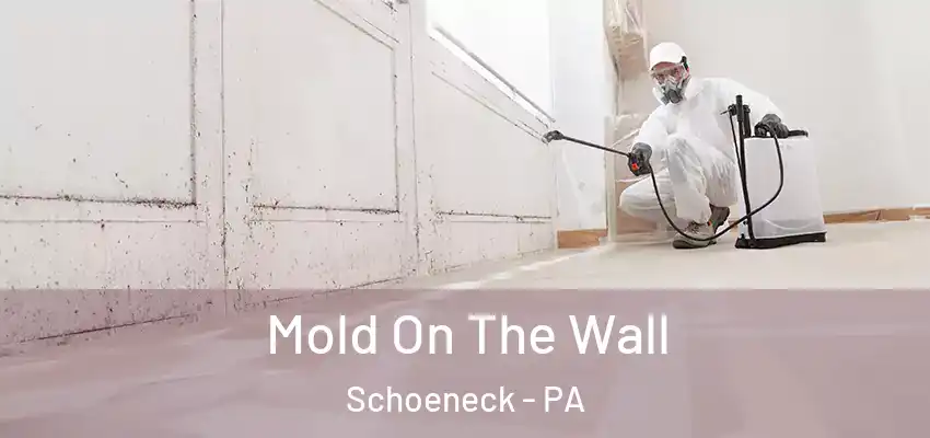 Mold On The Wall Schoeneck - PA
