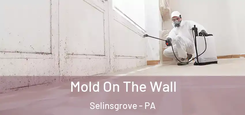 Mold On The Wall Selinsgrove - PA