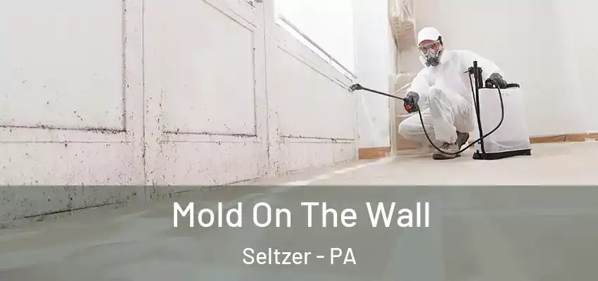  Mold On The Wall Seltzer - PA
