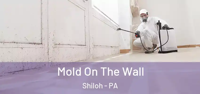  Mold On The Wall Shiloh - PA